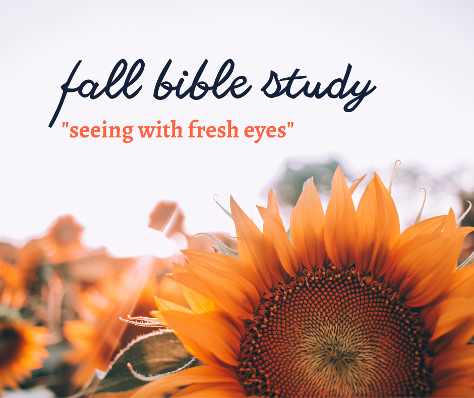 fall 22 bible study